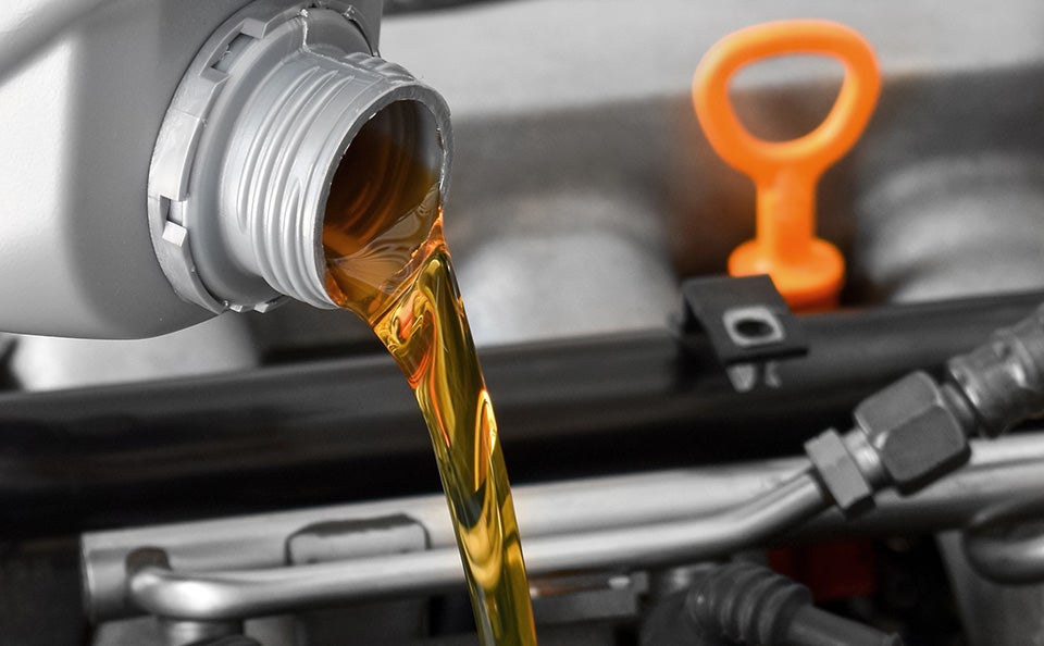 Platinum (Full-Synthetic) Oil Change